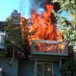 Photo courtesy of South Sound News
Photo courtesy of South Sound News