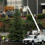 Olivia Sullivan/the Mirror