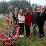 From left, Brianne Sembar, Taylor Denton, Louise Frank, Lori Allen, Jeff Allen and Savannah Allen meet for the first time at the Joshua Tree, Federal Ways community Christmas tree, on Dec. 21. Olivia Sullivan/the Mirror