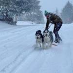 Photo courtesy of Nicole Fensterbush