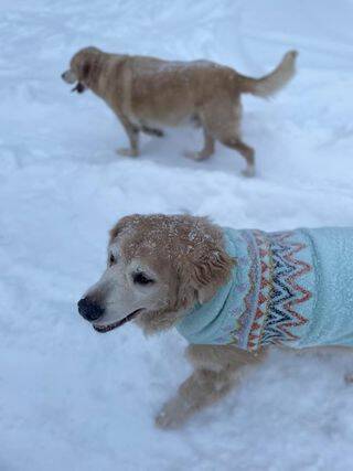 Photo courtesy of Tiffany LaFontaine