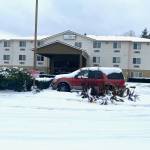 Photo courtesy of Dorsol Plants