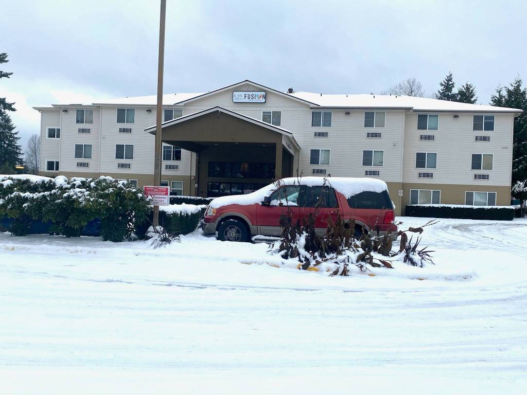 Photo courtesy of Dorsol Plants