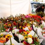 Flowers at the farmers market in 2019. Olivia Sullivan/the Mirror