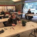 Photo courtesy of Pacific Bonsai Museum