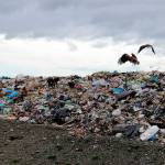 File photo
Cedar Hills Regional Landfill.