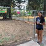 Hanna Banks at French Lake Dog Park, photo courtesy of Hanna Banks