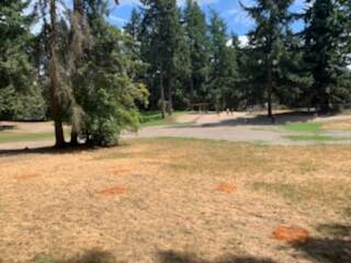 French Lake Dog Park, photo courtesy of Hanna Banks