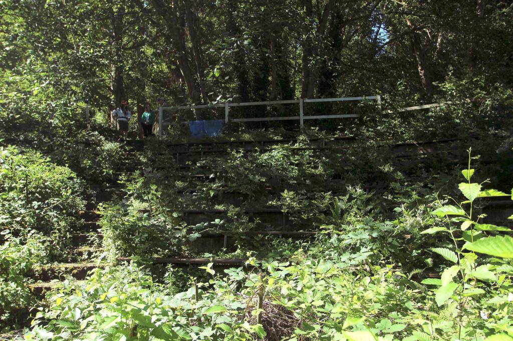 The Nye Bowl Amphitheater at Camp Kilworth is overgrown, hiding much of the 300-seat space. Olivia Sullivan/the Mirror