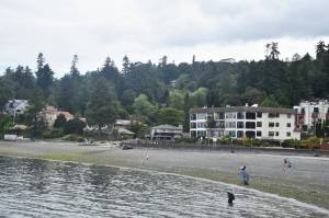 Divers, walkers and other beachgoers enjoy Poverty Bay in Des Moines on a Saturday morning, Aug. 13. Photo by Alex Bruell/Sound Publishing