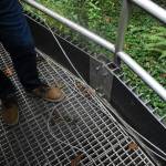 Photos by Alex Bruell/Sound Publishing
This outflow channel is the last line of defense at the Redondo Treatment Plant to keep in wastewater. During severe rain events, stormwater adds to the load so much that the wastewater spills into this channel. What water goes over the wall can reach the Cold Creek from here. For the vast majority of the time, this channel is dry.