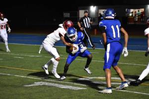 The Federal Way High School Eagles will play in the 2022 state tournament. (Photo by Ben Ray/Federal Way Mirror)