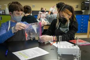Students extract DNA from the cells of a strawberry in Decatur High Schools Principles of Biomedical Science CTE course. Courtesy photo