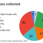 The number and percentage of each gun type collected during the buy-back event. All data via Federal Way Police Department, visualized by The Mirror.