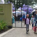 Visitors at BonsaiFEST! 2022. Photo by Winifred Westergard