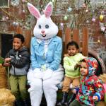 Photo courtesy of Shelley Pauls