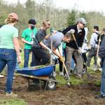 Photo courtesy of Shelley Pauls