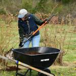 Photo courtesy of Shelley Pauls