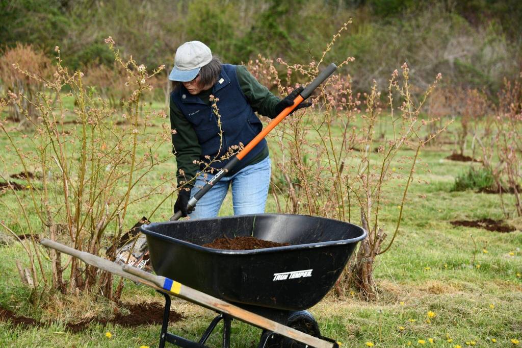 Photo courtesy of Shelley Pauls