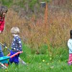 Photo courtesy of Bruce Honda