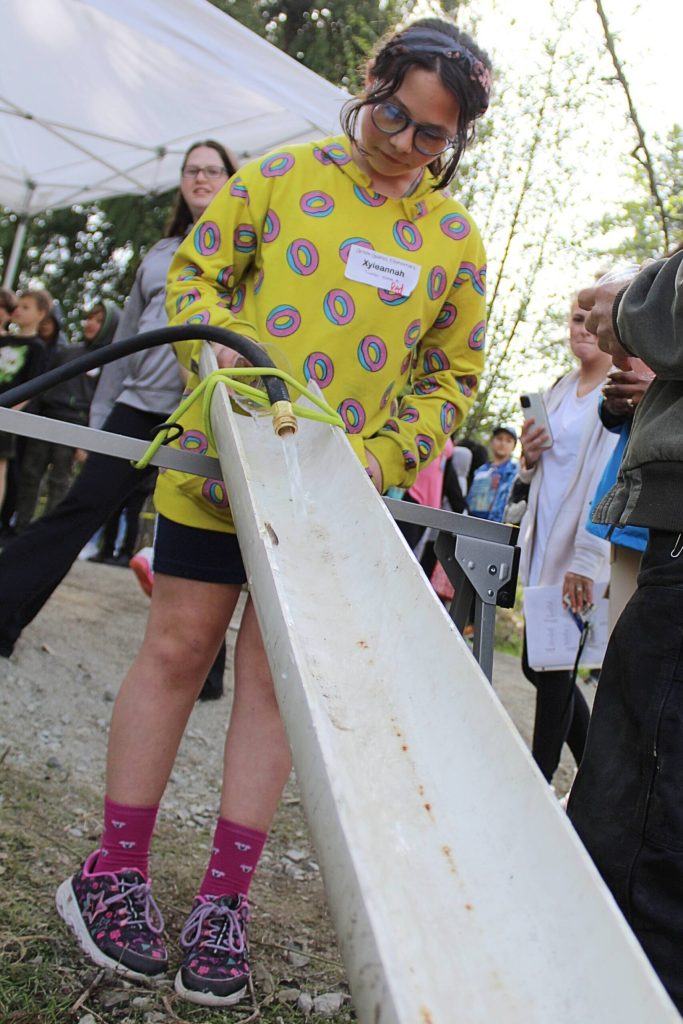 Green Gables student Xyleannah watches as a tiny salmon fry slithers down into Brook Lake during an April 27 field trip at the West Hylebos Wetland. Alex Bruell / The Mirror