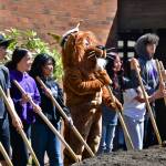 Photo by Bruce Honda.