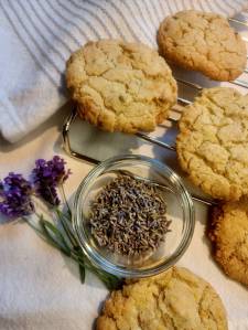 Photo courtesy of Vickie Chynoweth