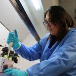 Forensic scientist Darlene Valencia tests a blood sample for tetrahydrocannabinol (THC), the main psychoactive ingredient in cannabis, at the new Washington State Patrol toxicology lab in Federal Way. While scientists like Valencia are not yet working on real evidence at the Federal Way lab, they are testing their equipment to ensure its accuracy. (Photo by Alex Bruell / The Mirror)