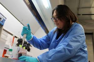 Forensic scientist Darlene Valencia tests a blood sample for tetrahydrocannabinol (THC), the main psychoactive ingredient in cannabis, at the new Washington State Patrol toxicology lab in Federal Way. While scientists like Valencia are not yet working on real evidence at the Federal Way lab, they are testing their equipment to ensure its accuracy. (Photo by Alex Bruell / The Mirror)