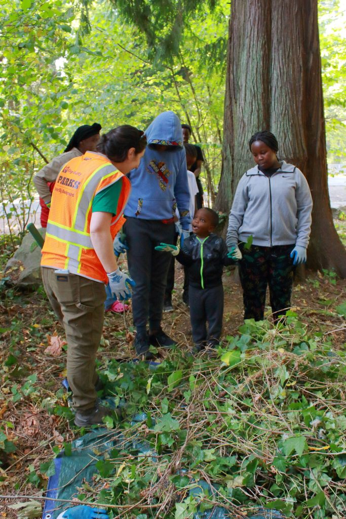 Photo by Keelin Everly-Lang / The Mirror
Several AYDEPI volunteers work with a King County Parks Assistant Volunteer Coordinator to remove ivy.