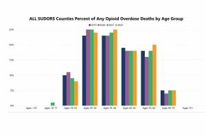 Screenshot of SUDORS from Dept. of Health website
