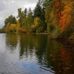 Colorful trees in Lake Geneva Park share the body of water with private residences along the shoreline. Photo by Keelin Everly-Lang / The Mirror