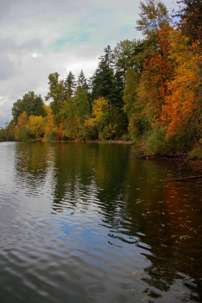 Colorful trees in Lake Geneva Park share the body of water with private residences along the shoreline. Photo by Keelin Everly-Lang / The Mirror