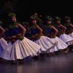 The Hui Hololio performed by dancers from the Ke`ala `O Kamailelauli`ili`i Foundation hālau. Photo by community member and photographer @t.g.koz on Instagram