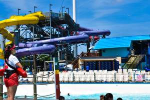 Photo courtesy of Wild Waves Theme & Water Park