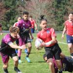 The Federal Way Warriors under-14 team (purple) played a hard-fought game March 25, but ultimately fell to the Rainier Highlanders. They youth rugby team is in its second year, and founders say the game teaches life lessons and helps the kids foster connections. (Photo by Alex Bruell / The Mirror)