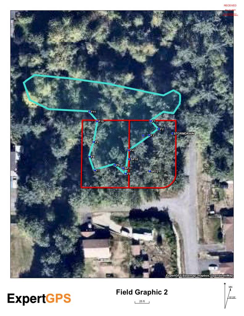 This field graphic from the application documents for building in 2023 shows the outline of the two plots of land and the wetland that overlaps them. Photo accessed from Federal Way city archives.