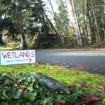 Loren Meisers hand lettered sign warns any passersby that there is a wetland present in the forested land near his home. (Photo by Keelin Everly-Lang / The Mirror)