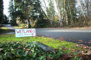 Loren Meisers hand lettered sign warns any passersby that there is a wetland present in the forested land near his home. Photo by Keelin Everly-Lang / The Mirror