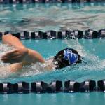 A Federal Way swimmer competes in a freestyle race. Ben Ray / The Mirror