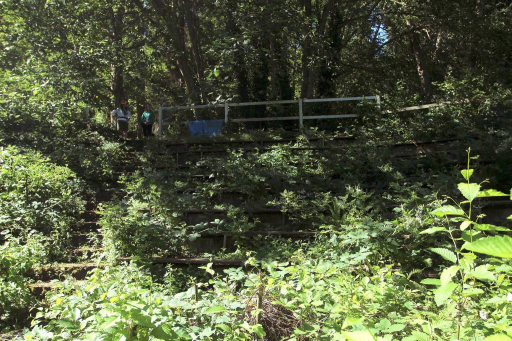 This photograph of the amphitheater in 2022 highlights can barely be recognized. Alder trees and other overgrowth covered the space. Mirror file photo