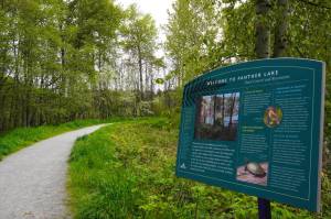 Panther Lake Trail at 550 SW Campus Drive in Federal Way. Photo by Joshua Solorzano/ The Mirror