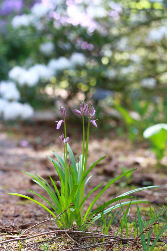 Photo by Keelin Everly-Lang / The Mirror