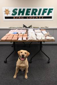 King County Sheriffs Office K9 officer with seized drugs. Photo provided by KCSO