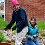 The South King Tool Library Rain Garden Work Party and Volunteer Appreciation was held Friday and Saturday (May 24-25), dodging wind and rain. Volunteers were happy with goodies such as oatmeal and fruit cookies, Earl Grey tea cupcakes, homemade breads and more. Photos by Bruce Honda