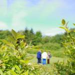 Photo by Keelin Everly-Lang / The Mirror