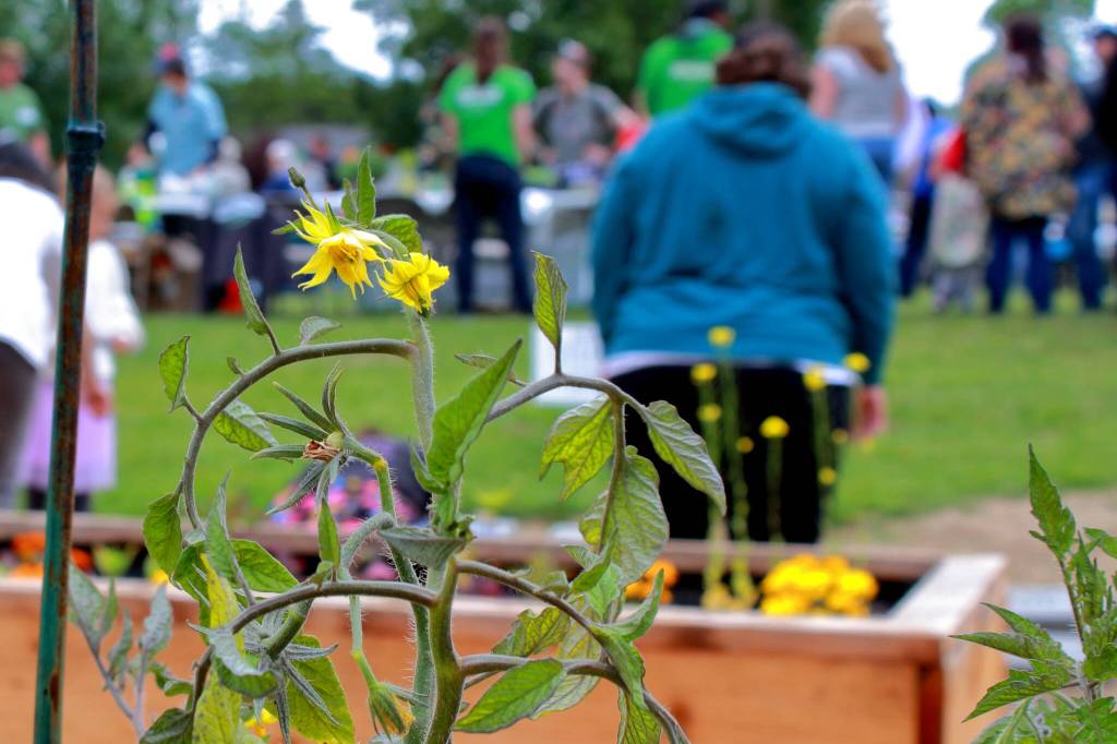 Photo by Keelin Everly-Lang / The Mirror