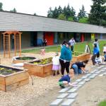 Like other school community gardens, this one features vegetable plants and flowers as well as some native plants. At the grand opening, community members got to put their creative touch on stones in the community garden. Photo by Keelin Everly-Lang / The Mirror