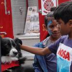 Two brothers petting the Zone 3 Fire Cadets Fire Engine dog at the South King Fire 75th anniversary.