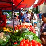 Heaps of bright produce were on display at the Federal Way Farmers Market on Saturday, June 29. Photo by Bruce Honda.